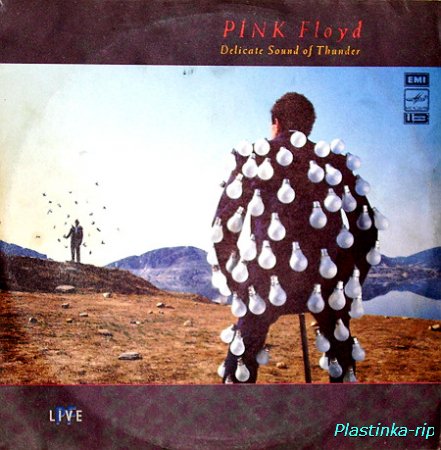 Pink Floyd - Delicate Sound of Thunber (live)(1988)