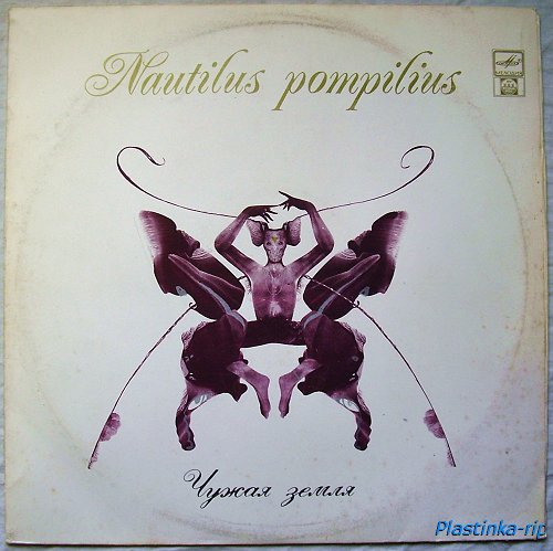 Nautilus pompilius -   1992