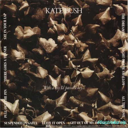 Kate Bush - The Dreaming 1982