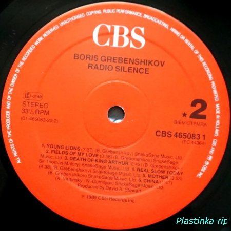 Boris Grebenshikov &#8206;– Radio Silence   1989