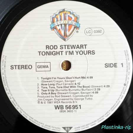Rod Stewart &#8206; Tonight I'm Yours     1981