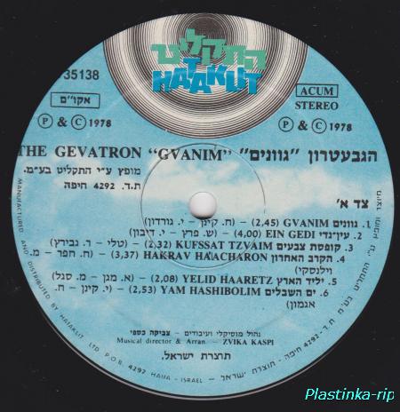 The Gevratron &#8206;– Gvanim