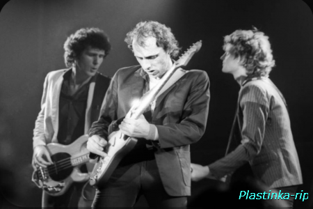 Dire Straits2(DVD-A)