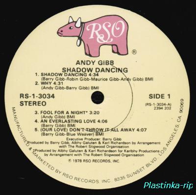 Andy Gibb &#8206; Shadow Dancing 
